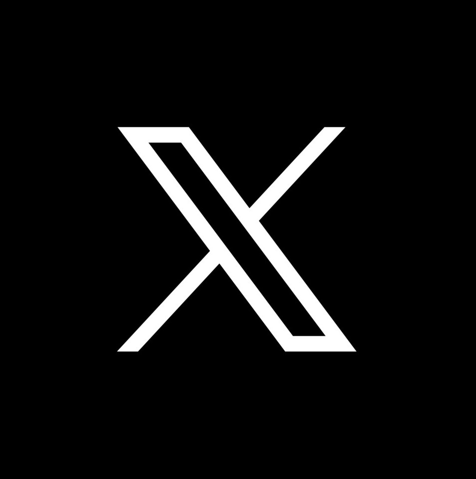 icono X