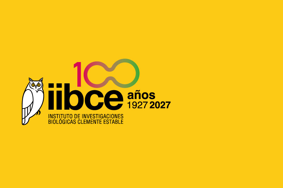IIBCE 100 Años logo 900x600