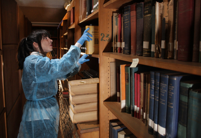 Joanna Martínez trabajando con los libros de la biblioteca del Instituto Clemente Estable Joanna Martínez trabajando con los libros de la biblioteca del Instituto Clemente Estable