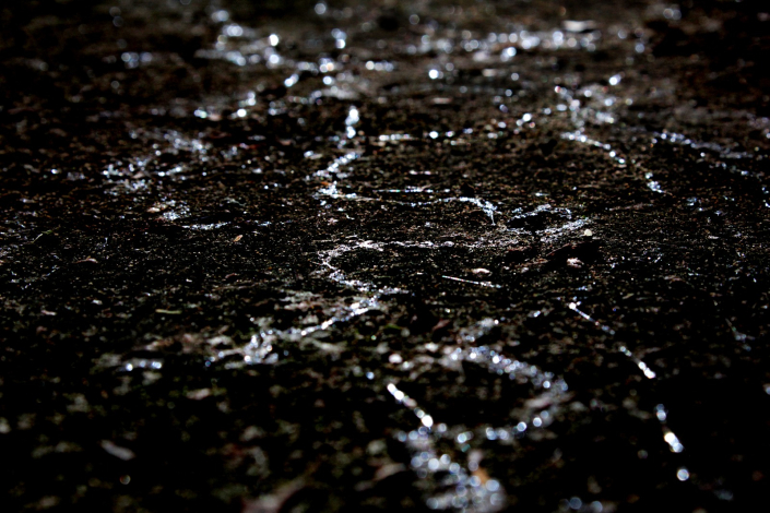 Caminos de caracoles Caminos de caracoles