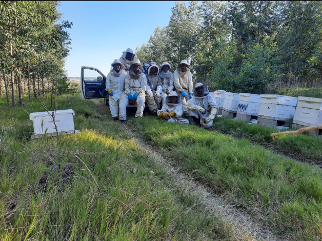 Equipo de trabajo en campo Equipo de trabajo en campo