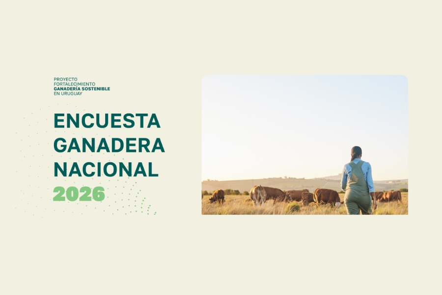 Encuesta