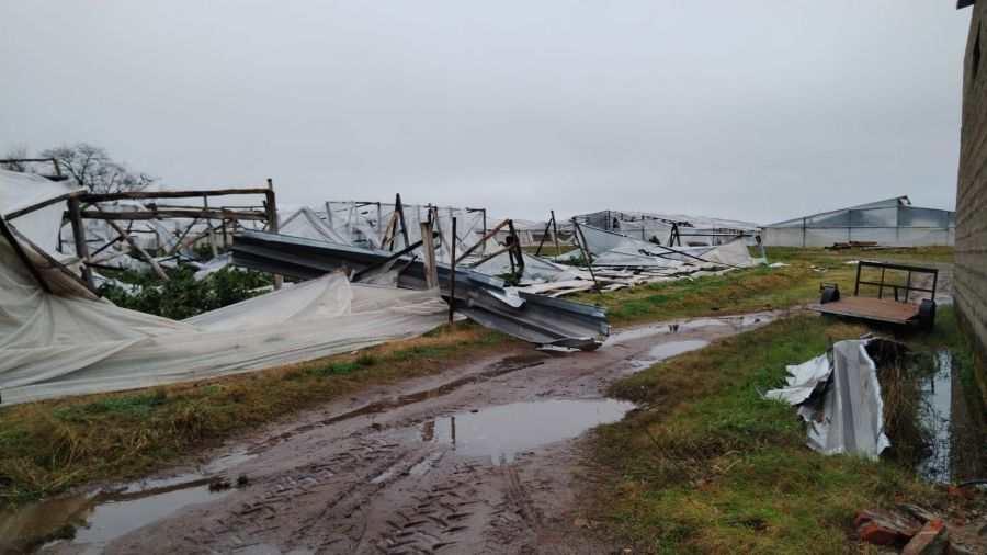 Temporal Salto