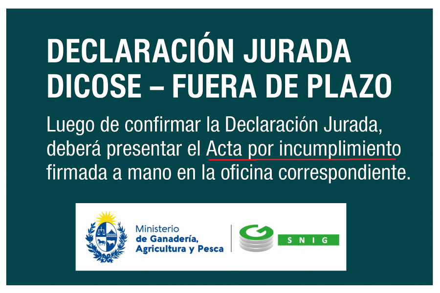 Declaración jurada fuera de plazo