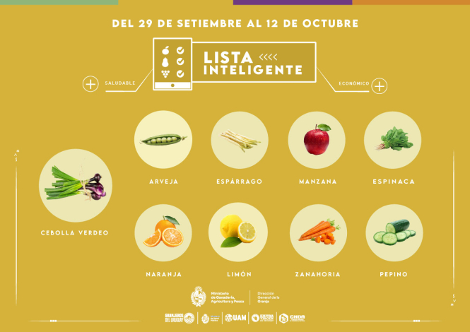 Lista inteligente | OCT Lista inteligente | OCT