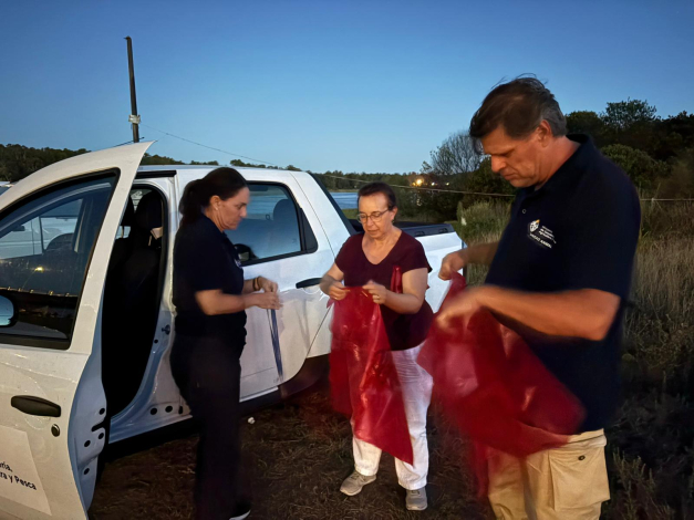 Influenza Aviar Influenza Aviar