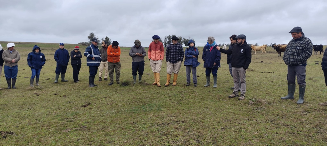 Proyecto de rehabilitación de campos naturales presentó avances y resultados finales Proyecto de rehabilitación de campos naturales presentó avances y resultados finales