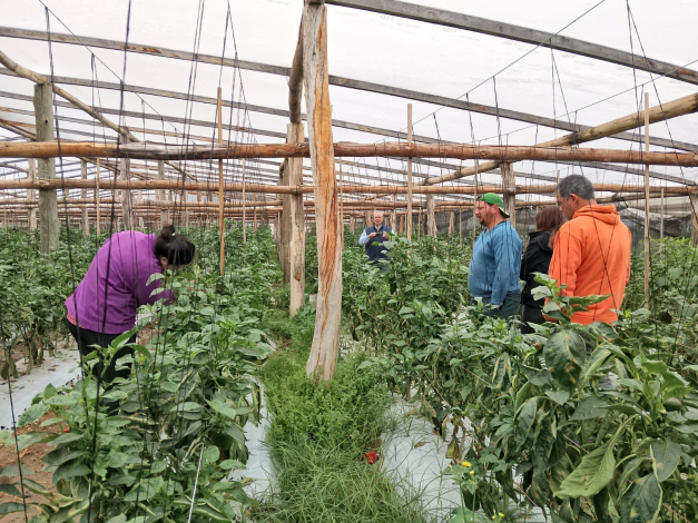 Agroecología Agroecología