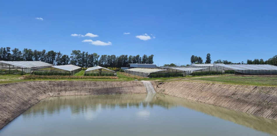 invernáculos invernáculos