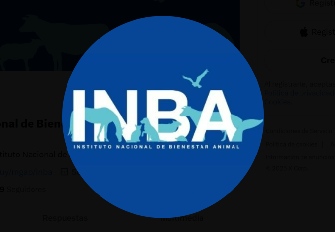 INBA INBA
