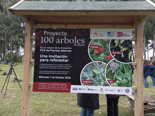 proyecto 100 arboles proyecto 100 arboles