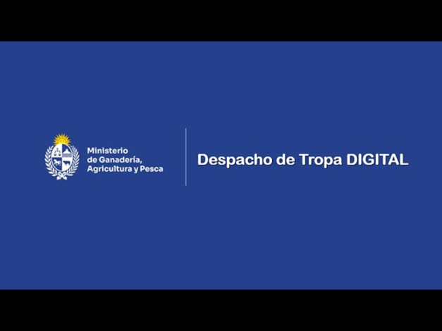 Despacho de tropa digital Despacho de tropa digital