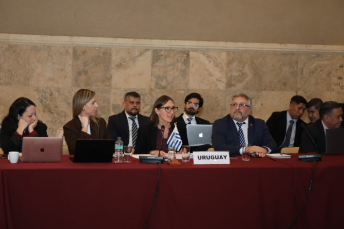 Uruguay asumió la Presidencia Pro Témpore del Comité de la Hidrovía Paraguay – Paraná Subsecrataria de Transporte. Presidencia Pro Témpore del Comité de la Hidrovía Paraguay – Paraná