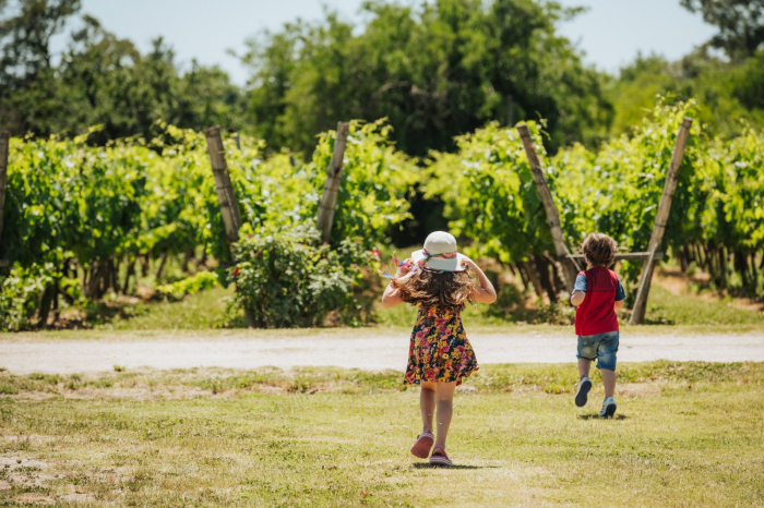 Niños en viñedos