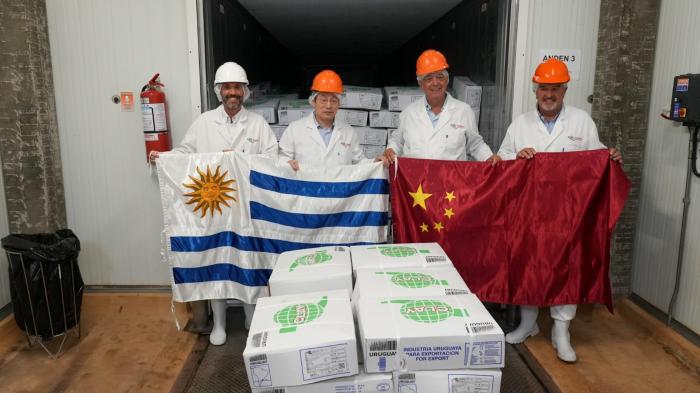 Uruguay realizó la primera exportación de carne equina congelada sin hueso a China