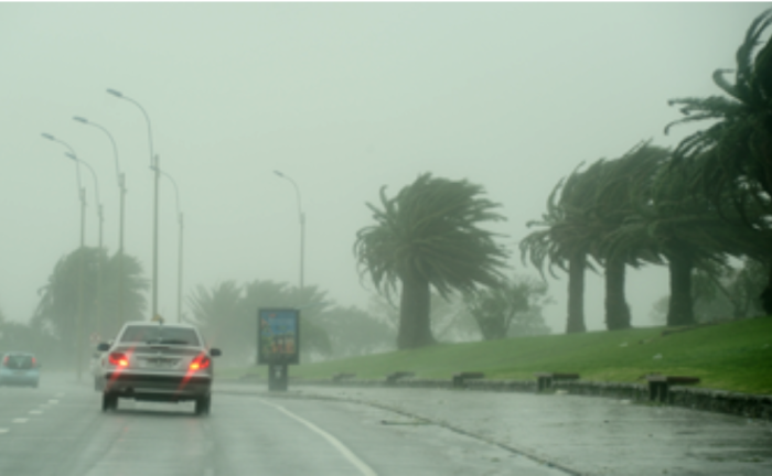 Hoy comienza a regir en todo el país la alerta roja para personas en situación de calle Auto circula por una calle bajo la lluvia. Los árboles que están al lado de la calle se mueven con el viento