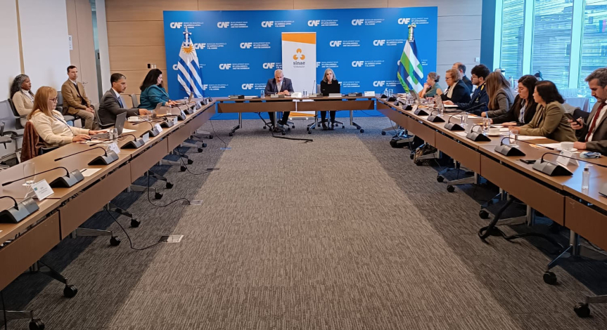 IV Reunión de Autoridades Nacionales de Gestión del Riesgo de Desastres de Brasilia